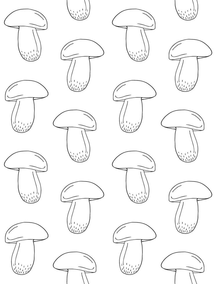 Seamless pattern of hand drawn doodle King bolote cep mushroom vector