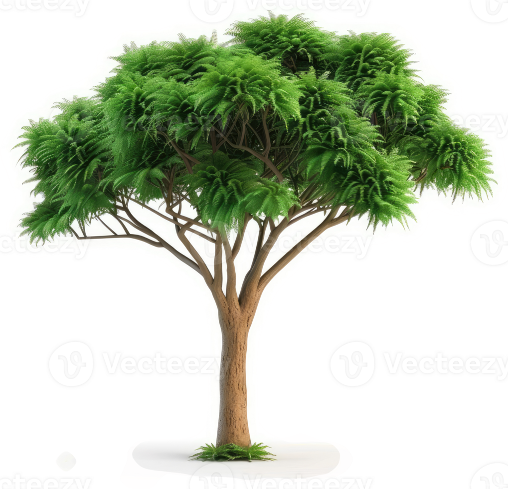 Lush, full green tree stands tall against a white background. png