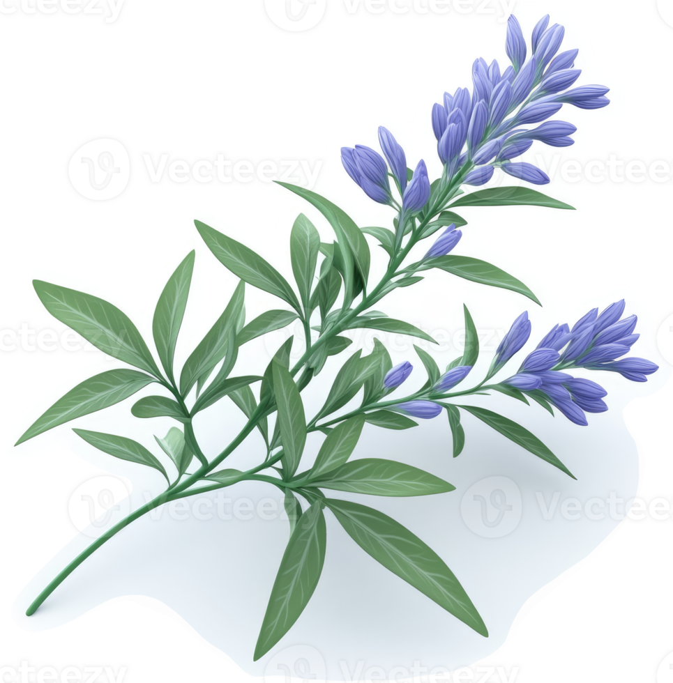 Delicate light purple flowers with lush green leaves. png