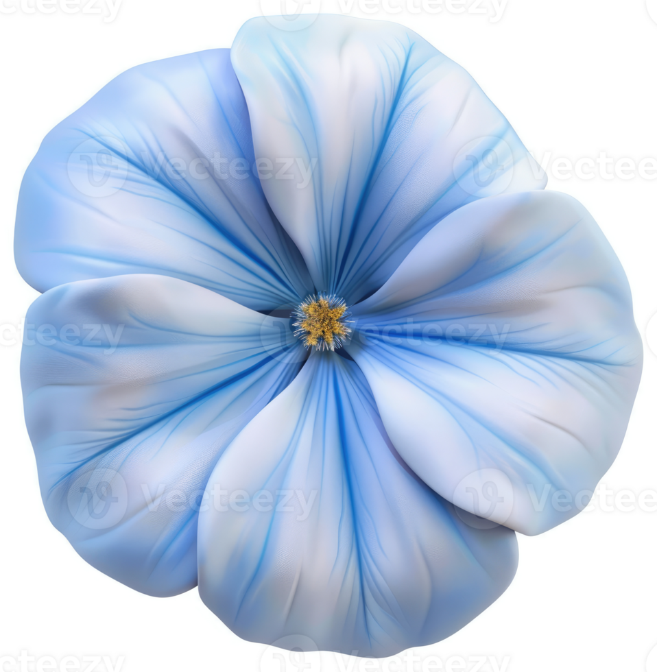 Delicate light blue flower with soft petals. png