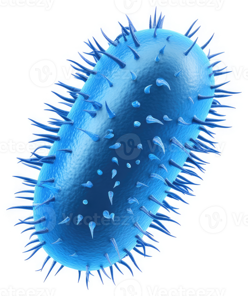 Detailed illustration of a rod-shaped bacterium png