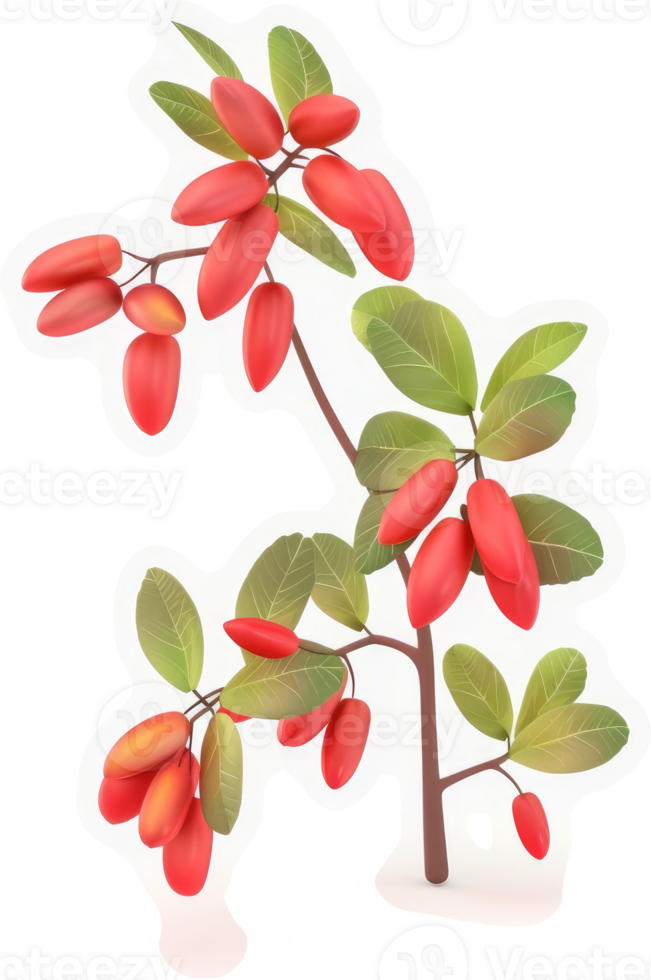 Vibrant branch of barberry berries and leaves. png
