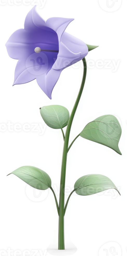 Graceful light purple bell flower with delicate leaves. png