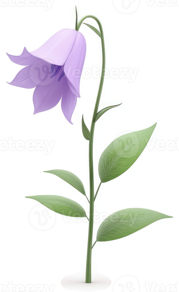 Light purple bellflower with delicate leaves. png