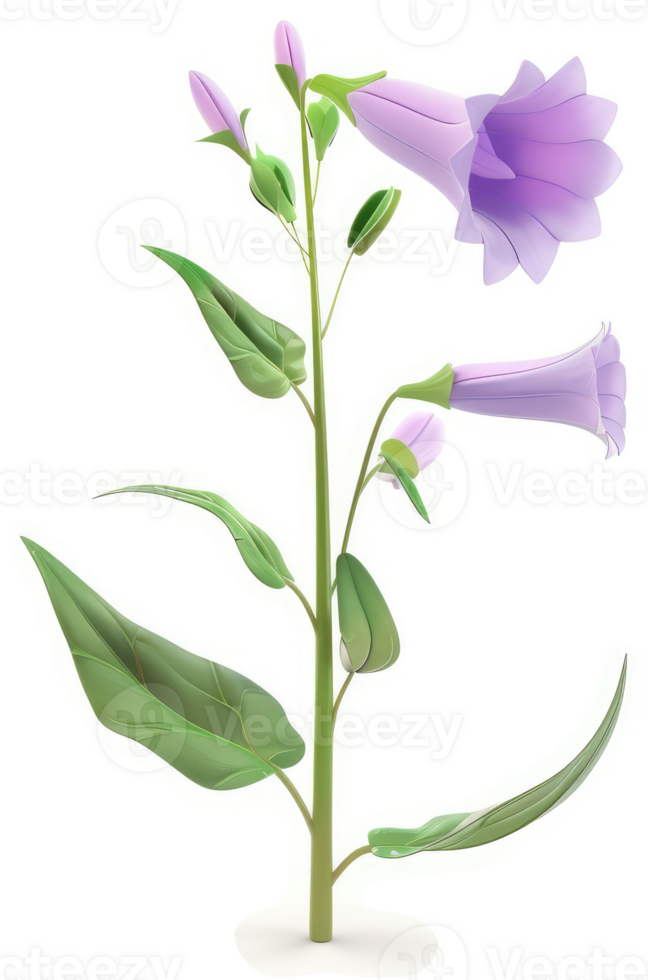 Purple bell-shaped flowers bloom on a tall stem. png
