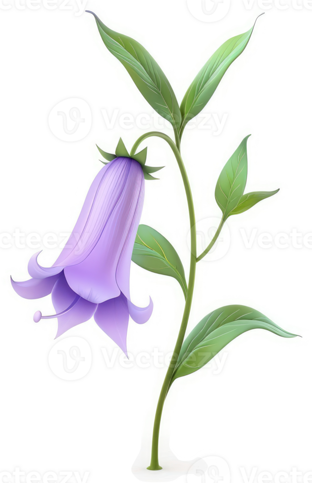Delicate purple bellflower with vibrant green foliage. png