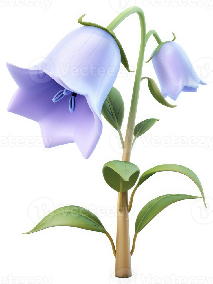 Light purple bell-shaped flowers on a slender stem. png