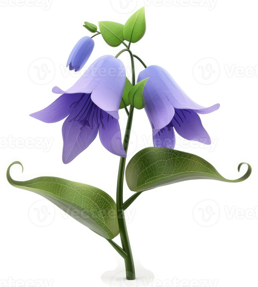 Three delicate, light purple bellflowers grace a slender stem. png