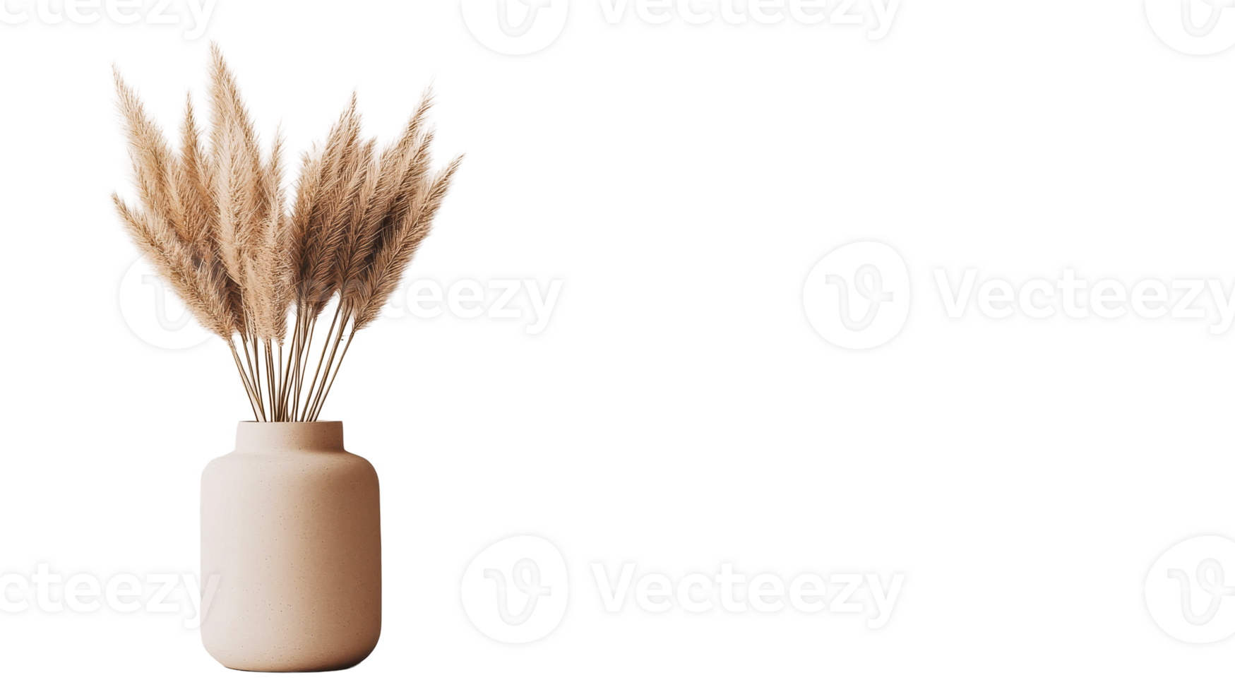 Pampas grass in ceramic vase against black background, cut out transparent png