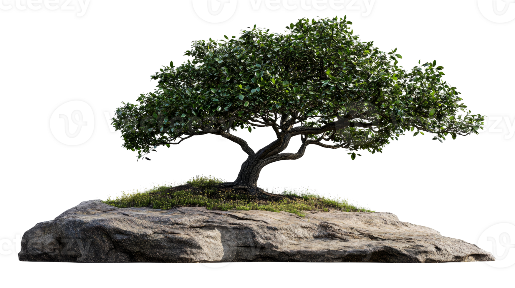 Landscape with tree on rock formation isolated , cut out transparent png
