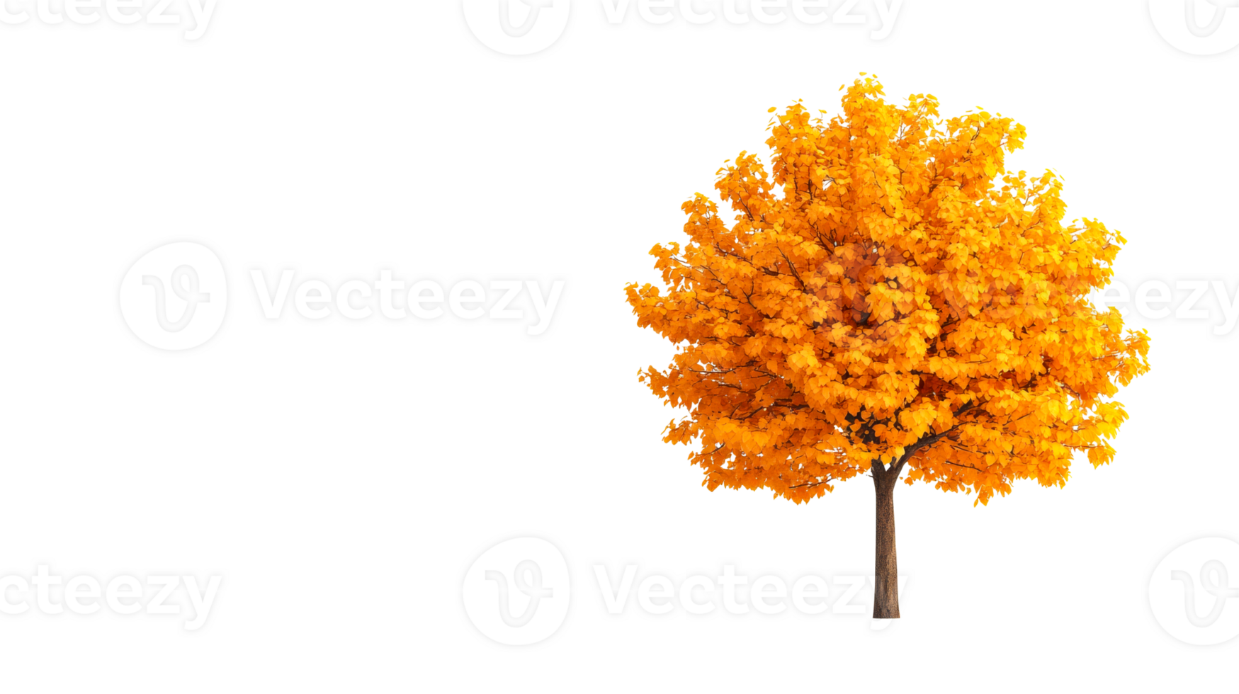 Autumn tree with yellow leaves on black background, cut out transparent png