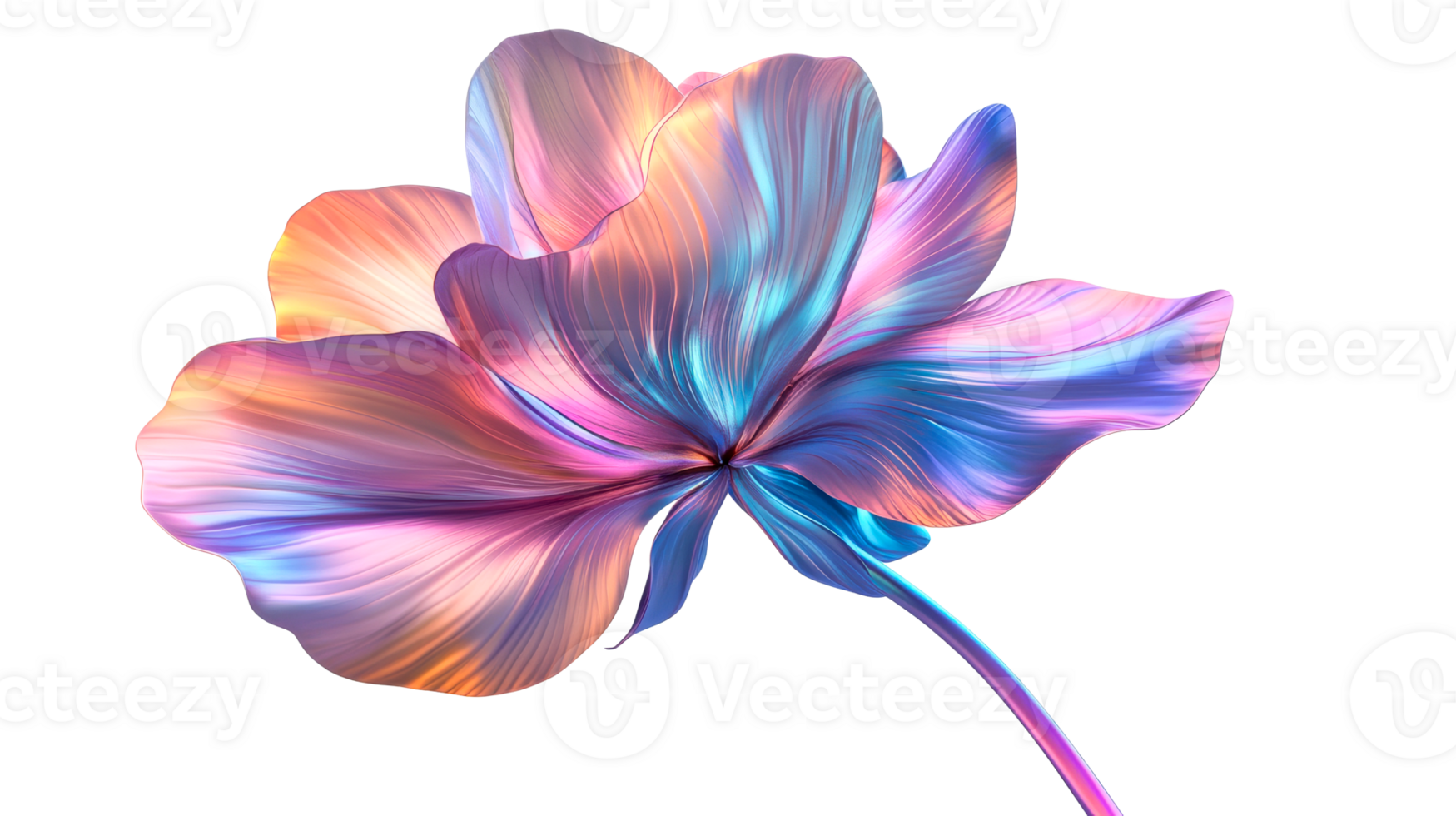 Abstract flower with smooth color gradients, artistic presentation, cut out transparent png
