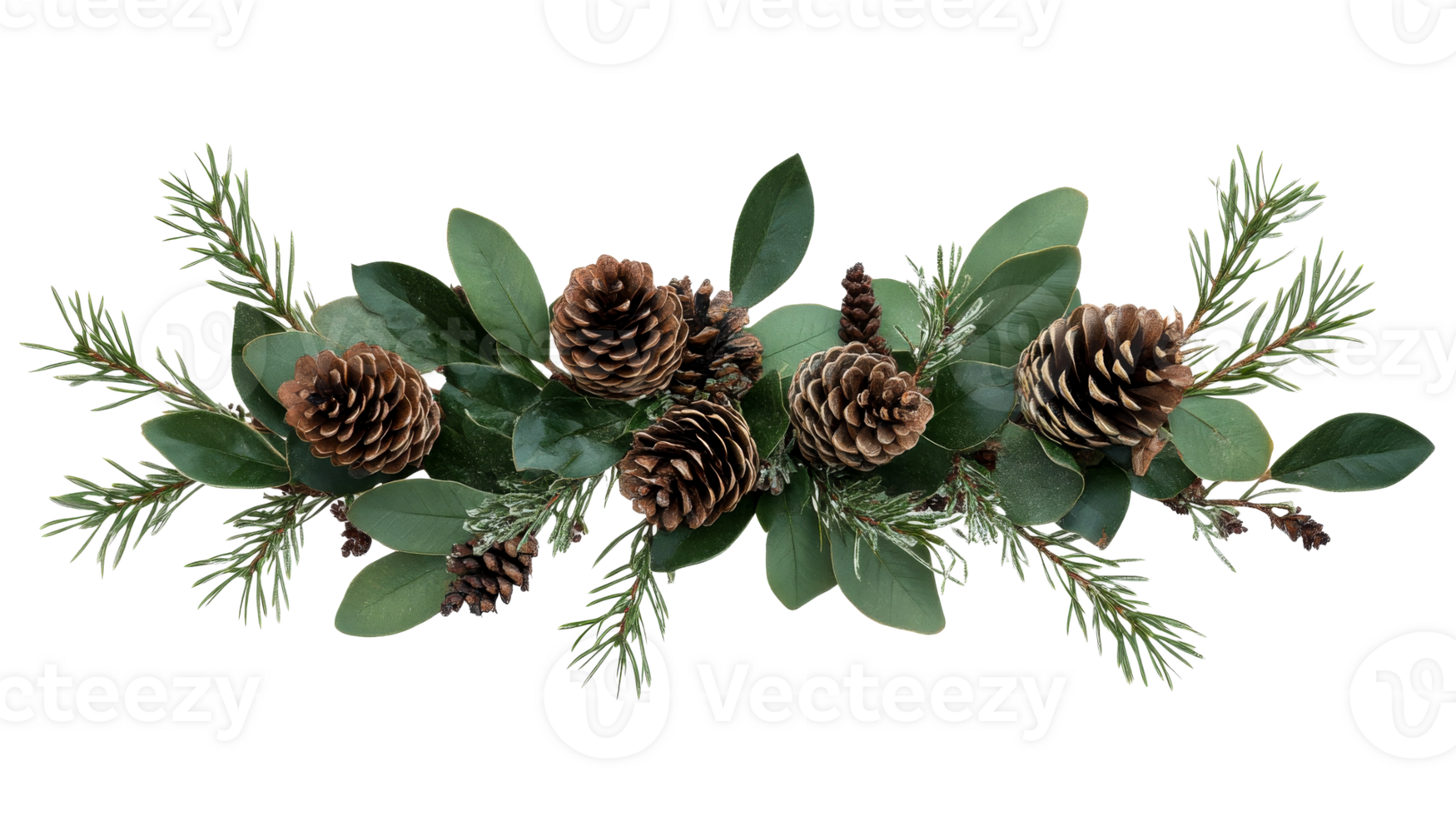 Pinecones with Greenery Arrangement, Evergreen Decoration, isolated, cut out transparent png