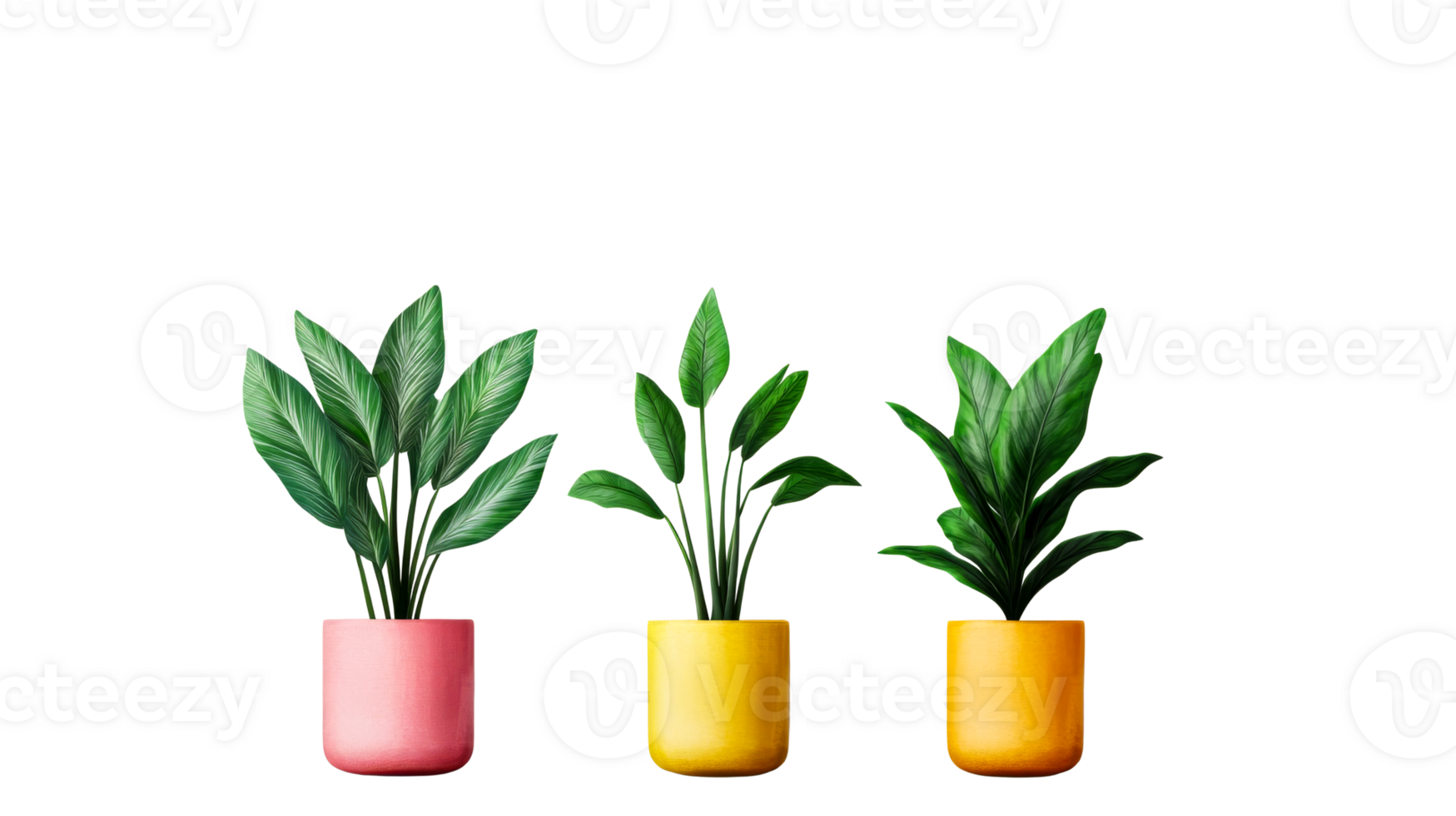 Houseplants in colorful pots, indoor gardening and decoration, cut out transparent png