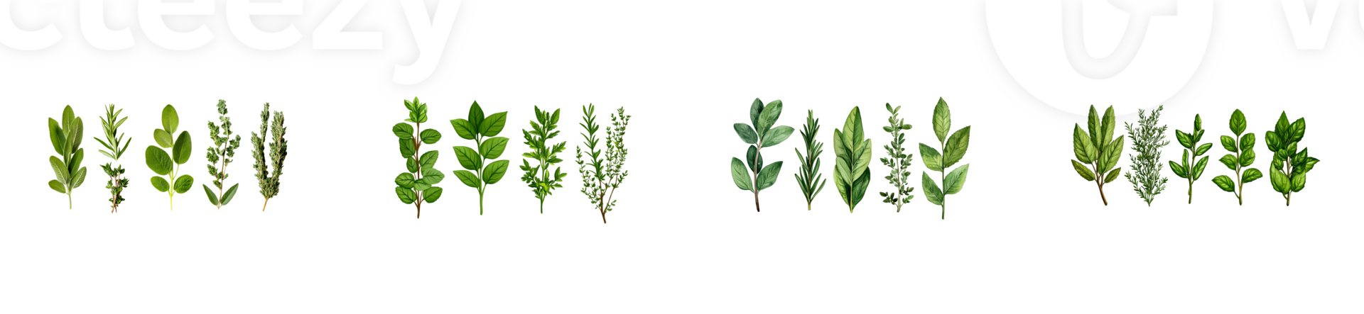Sage, rosemary, thyme, and oregano herb branches, cut out transparent png