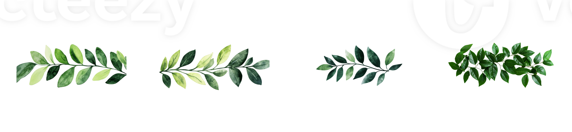 Green foliage arrangements isolated against a black backdrop, cut out transparent png