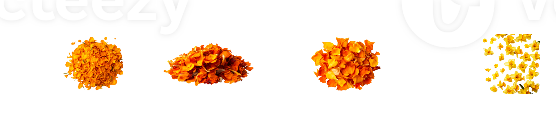 Orange flower petals heaps and falling, floral confetti , cut out transparent png