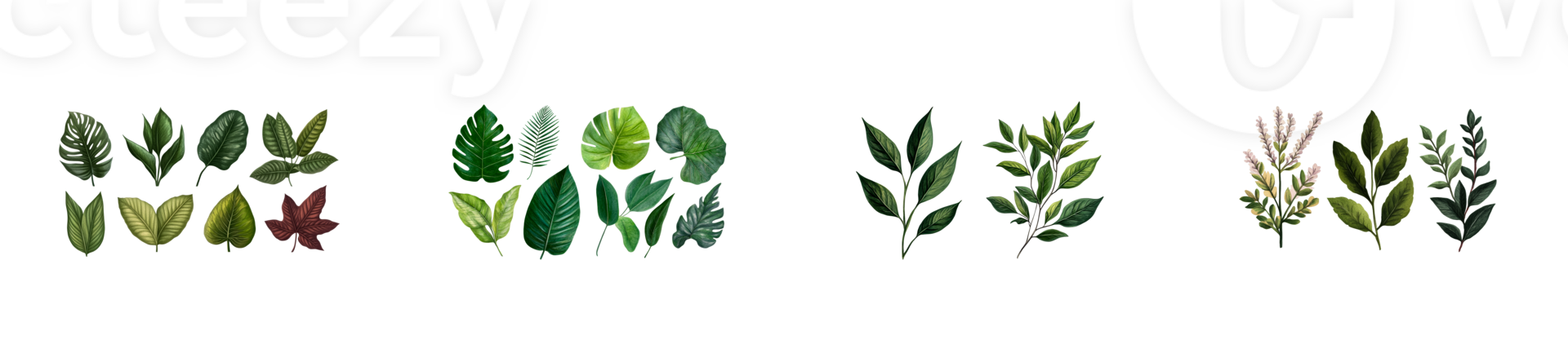 Leaf Assortment on Black Background, Botanical Illustrations, cut out transparent png