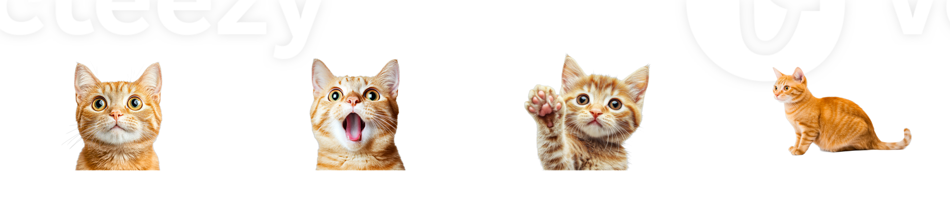 Several ginger cats show different facial expressions and gestures png
