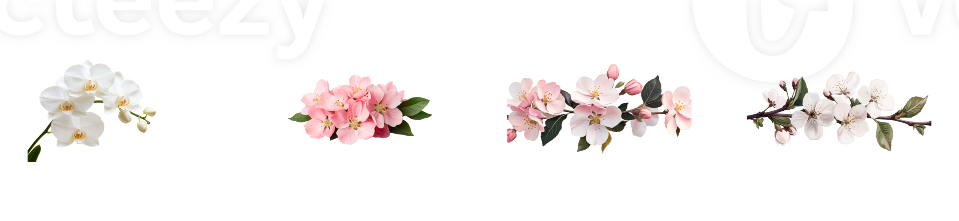 Pink and white floral arrangement png