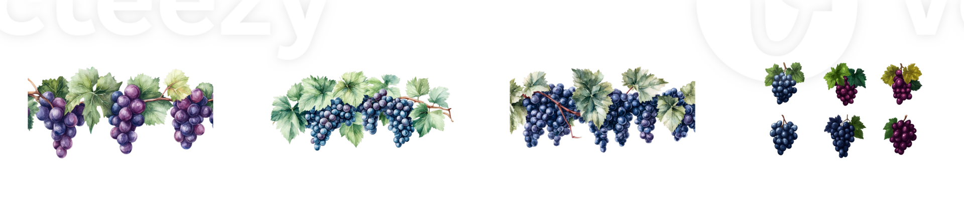 Various bunches of grapes arranged with vibrant leaves png
