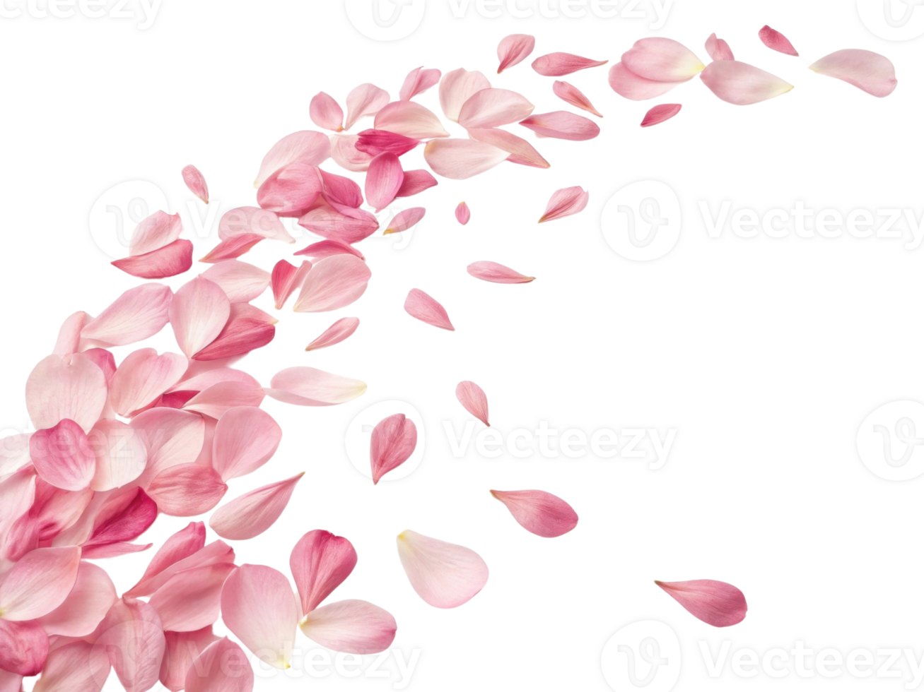 Delicate peony flower petals scatter gracefully, creating beautiful and serene atmosphere that evokes feelings of tranquility and elegance png