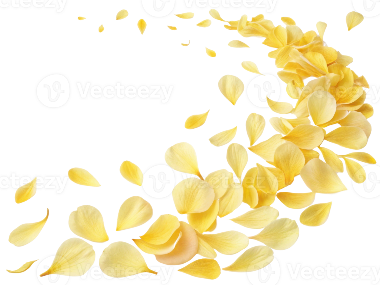 Beautiful yellow peony flower petals gracefully scatter, creating vibrant and delicate display that evokes sense of tranquility and joy png