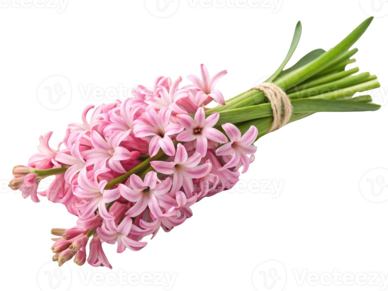 beautiful bouquet of hyacinth flowers showcases delicate pink petals and vibrant green stems, perfect for brightening any space png