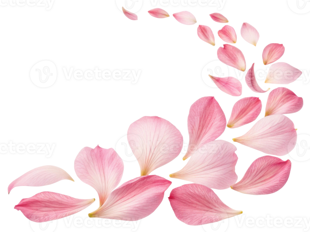 Delicate pink petals gracefully swirl in beautiful pattern, creating serene and calming atmosphere that highlights elegance of nature png