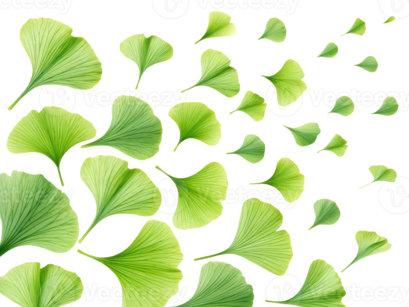 Gentle green leaves dance gracefully in air creating serene and refreshing atmosphere that invites tranquility and peace png