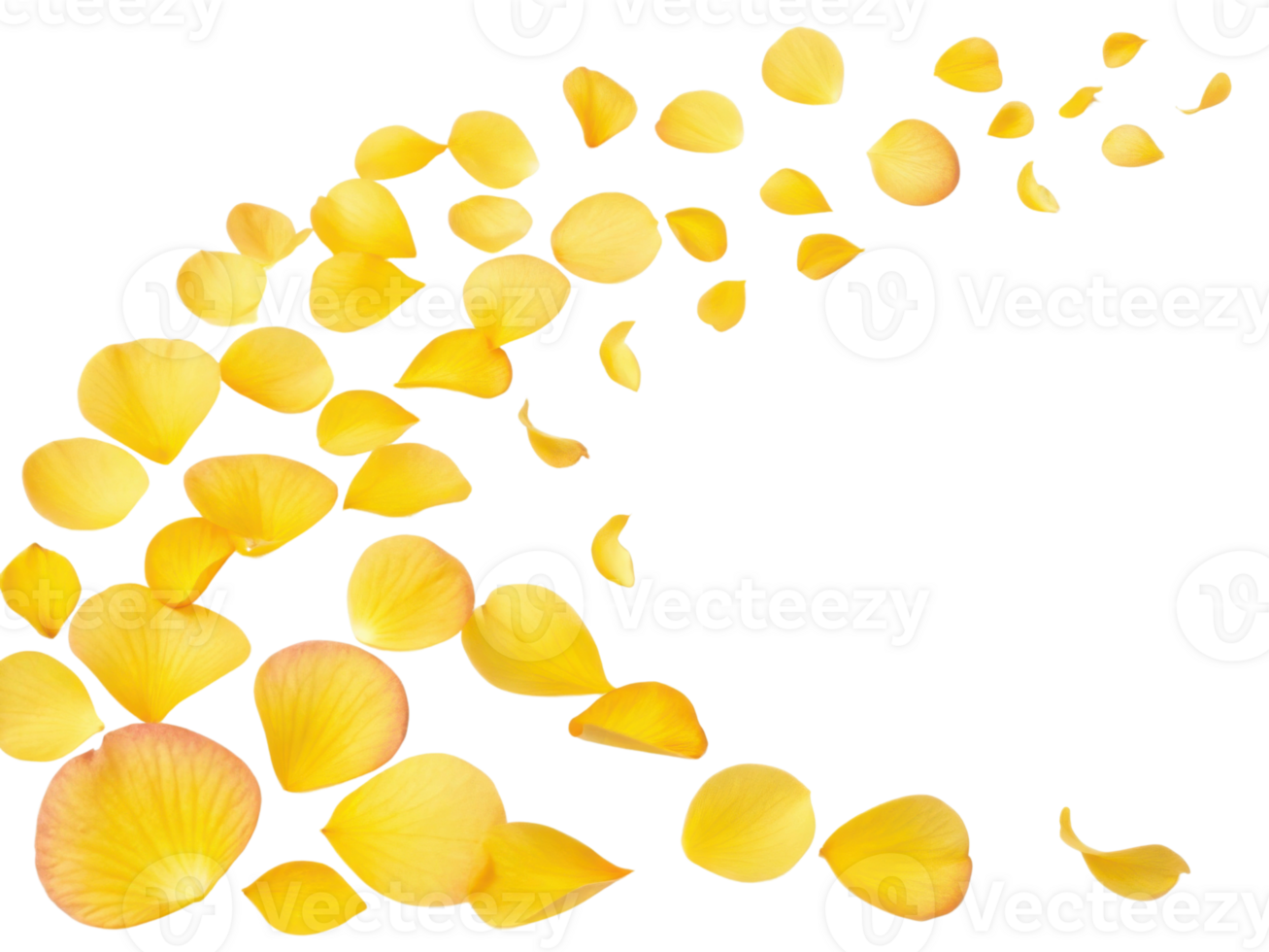 Bright yellow begonia flower petals gracefully scatter, creating beautiful and vibrant display that evokes feelings of joy and warmth png
