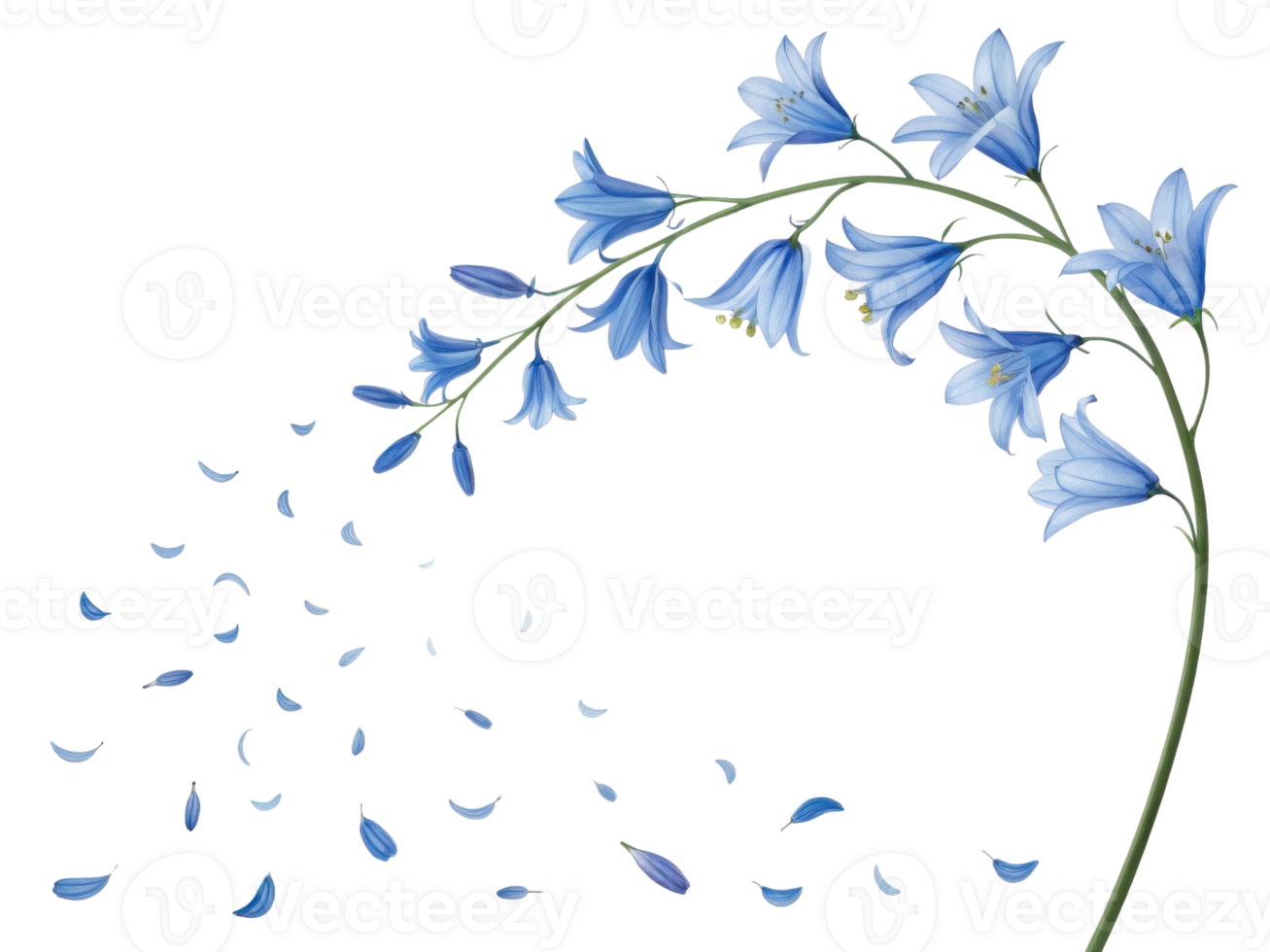 delicate bluebell flower gracefully sways in breeze, its petals gently falling like whispers of spring png