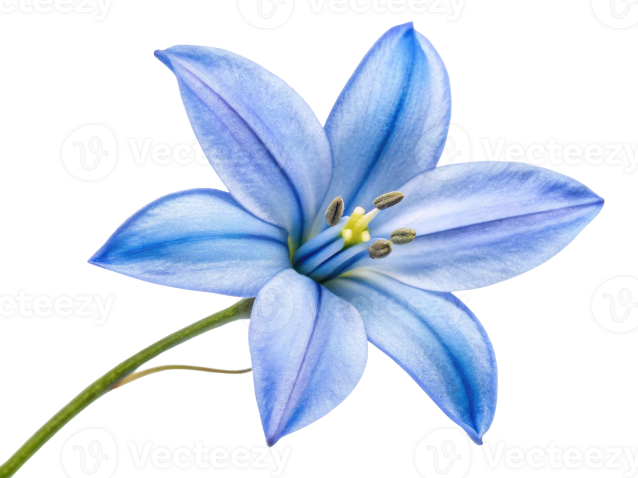 stunning bluebell flower showcases delicate petals in shades of blue, radiating beauty and elegance in nature design png