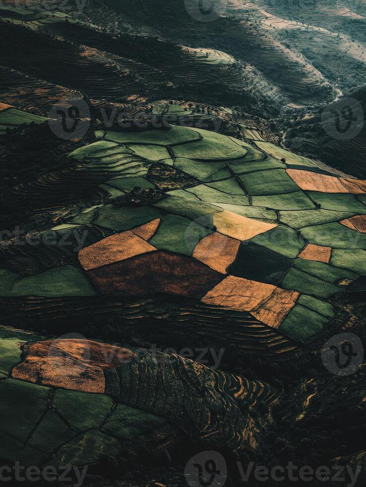 A view of a field with many different colored patches photo