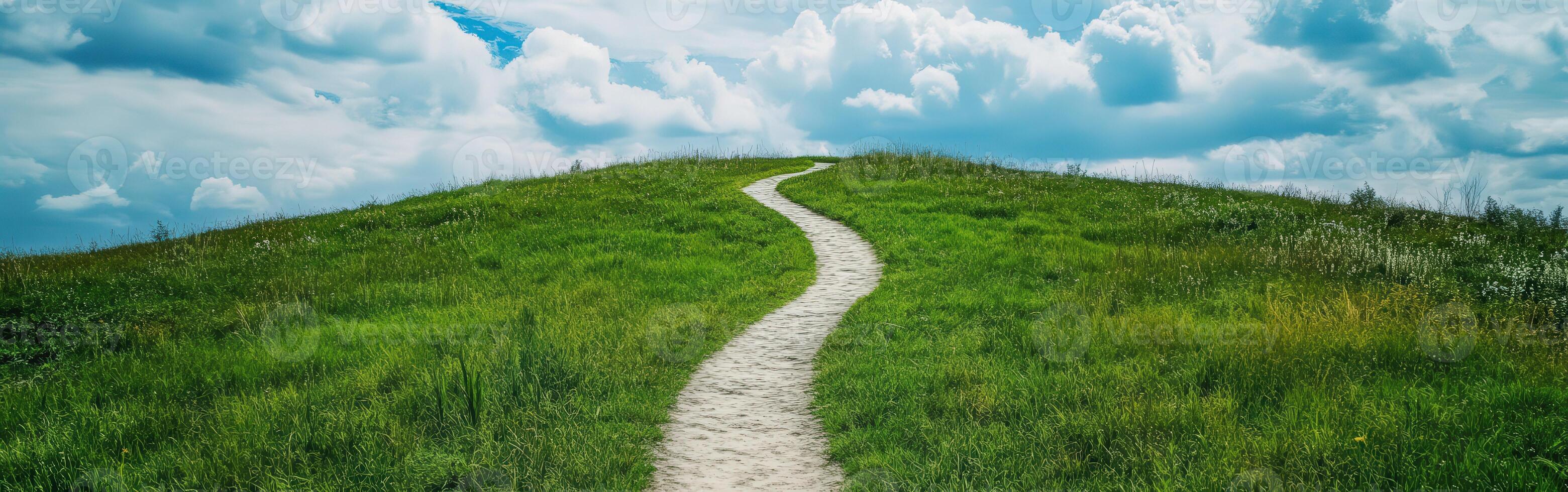 Winding path through green grass under cloudy sky photo