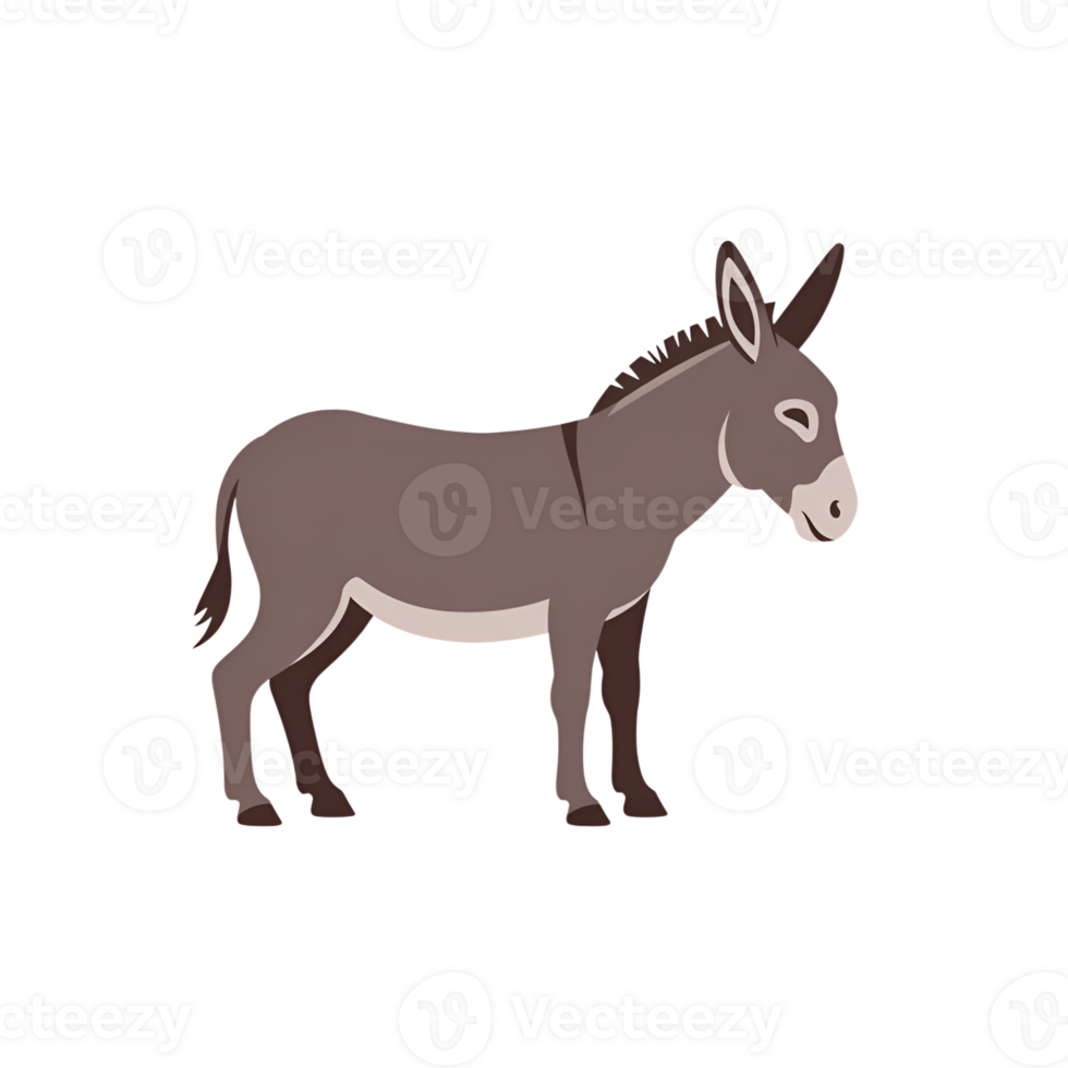 Donkey illustration standing on isolated background in side view position png