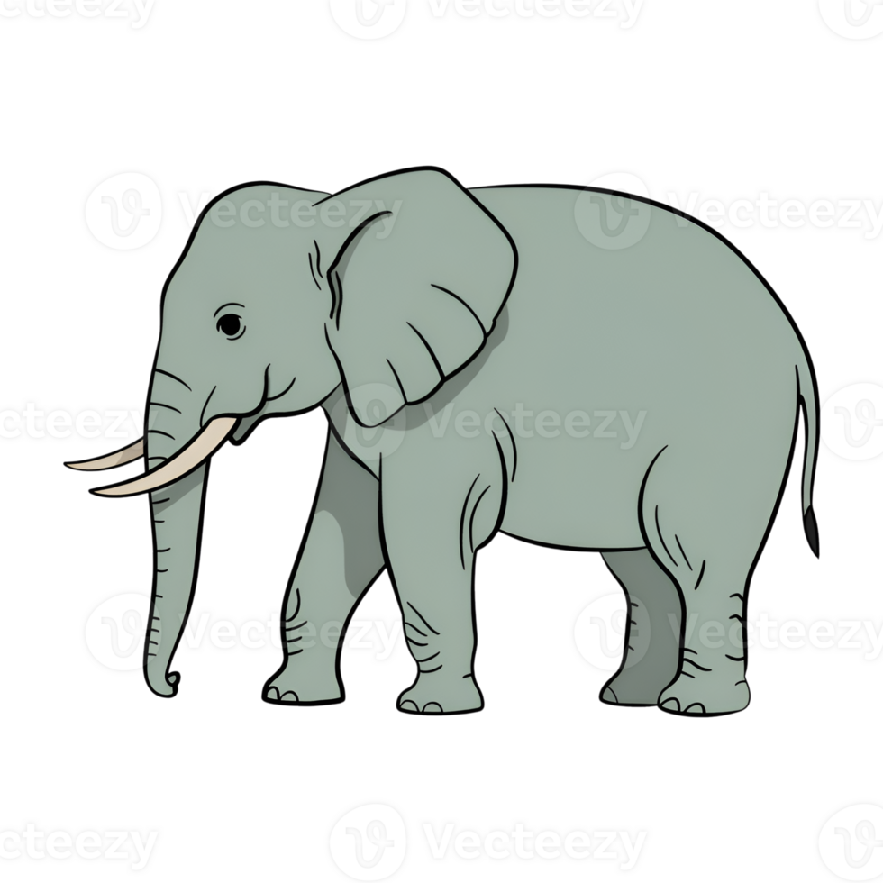 Cartoon elephant illustration with gray skin and white tusks on transparent png