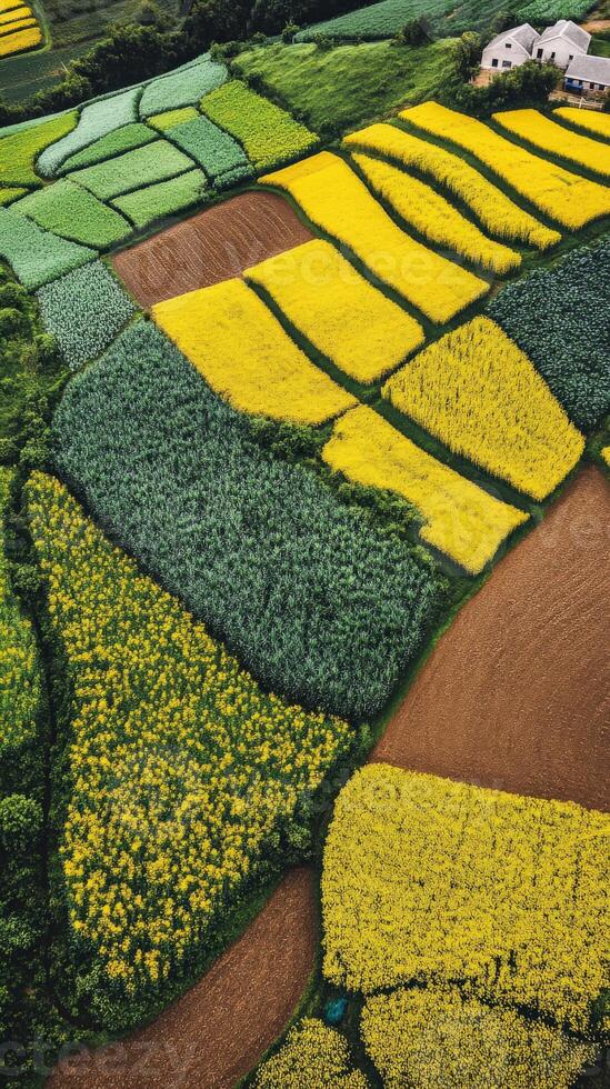 Colorful fields in a rural landscape by day photo