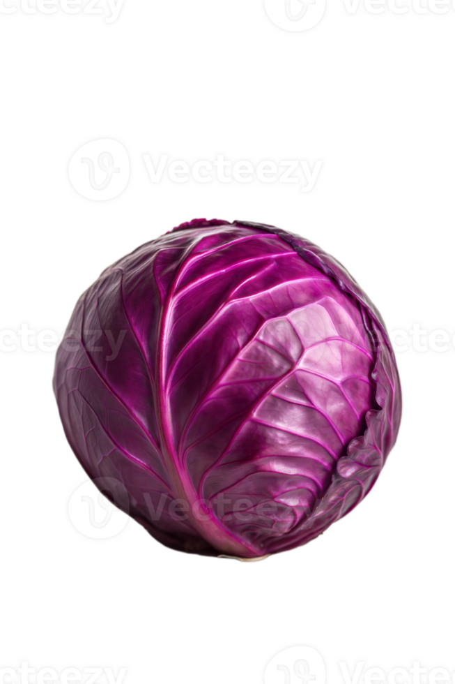 Close-Up of a Purple Cabbage Like Vegetable png