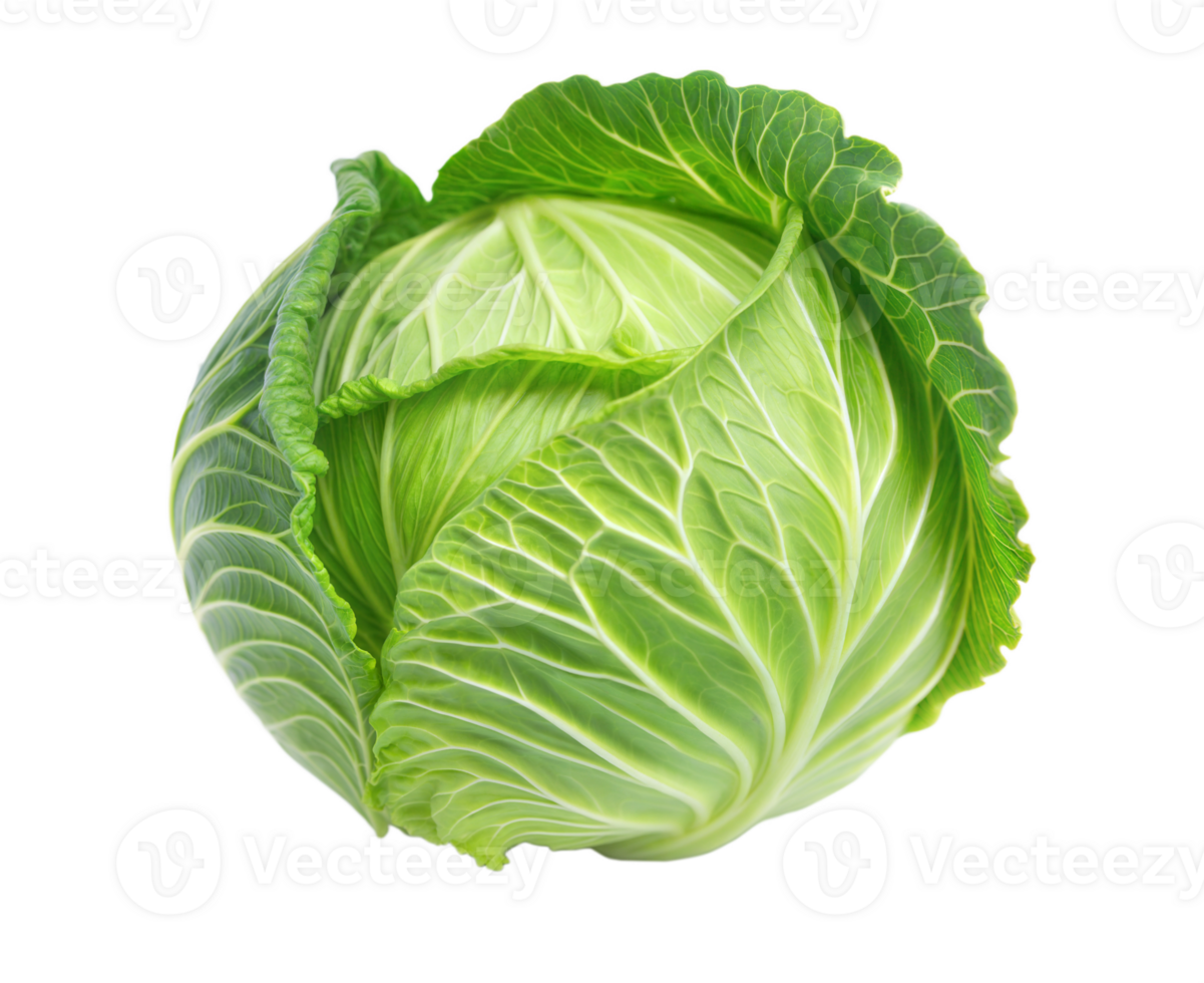 Fresh Cabbage Close-Up with Natural Contrast png