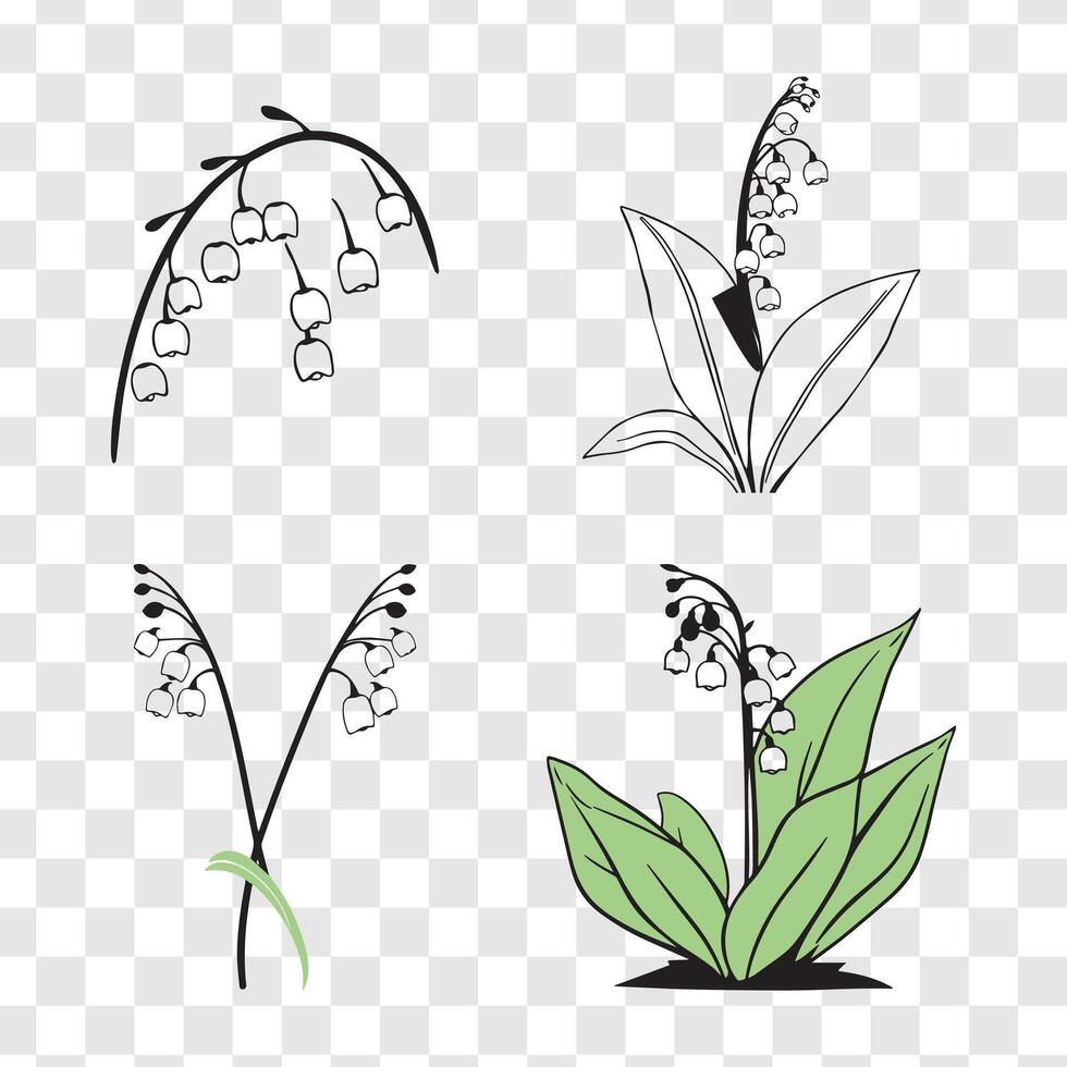 Modern black silhouette of lily flowers for decoration and design vector