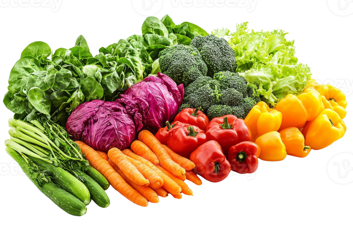 Colorful array of fresh vegetables carrots peppers broccoli leafy greens zucchini and red cabbage png