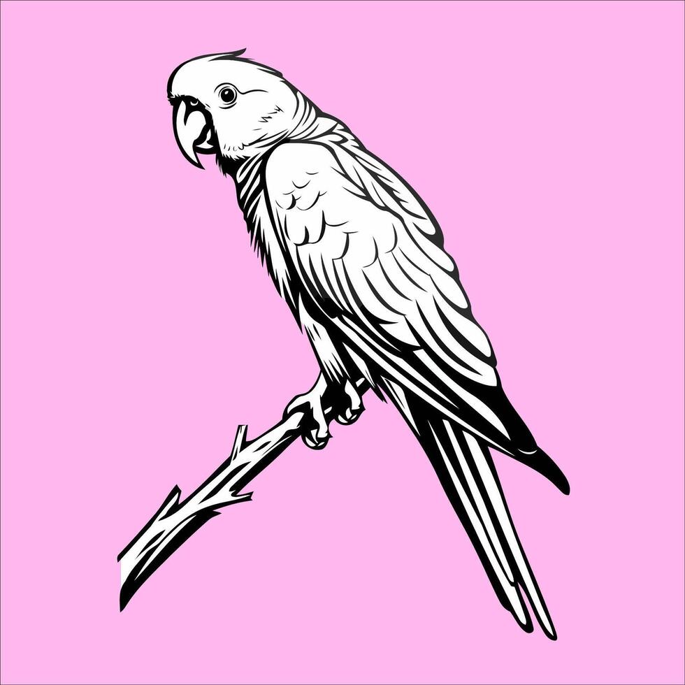 White Parrot Sitting On Branch Silhouette vector
