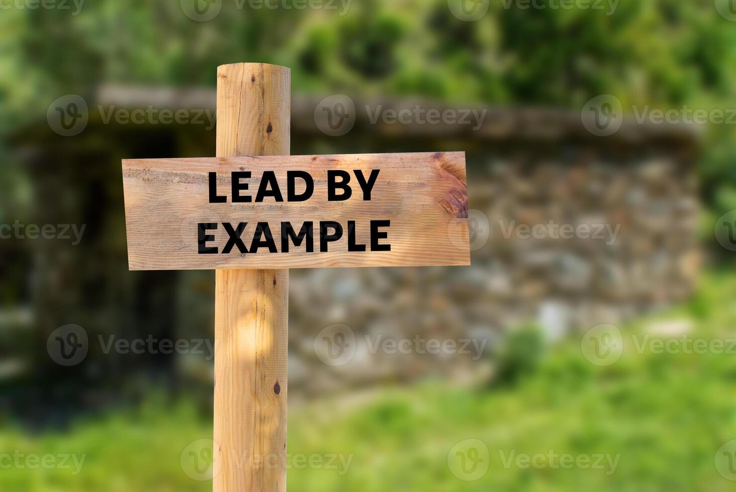 Lead by example message written on wooden sign on nature background. Conceptual lead by example symbol. Copy space. photo