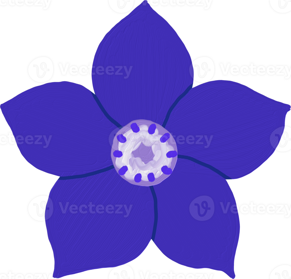 Larkspur Flower Oil Paint Doodle png