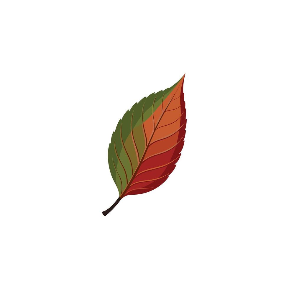 Botanical Leaf Illustration Design in Minimal Style vector