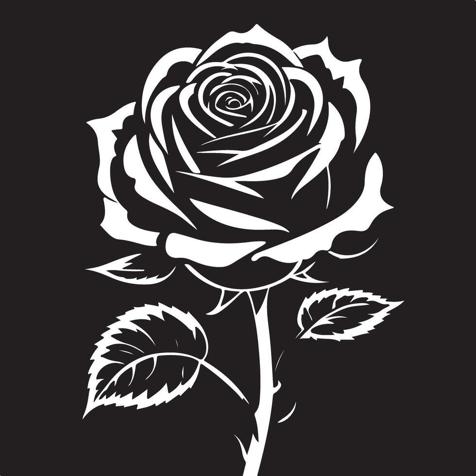 A black and white rose on a black background vector