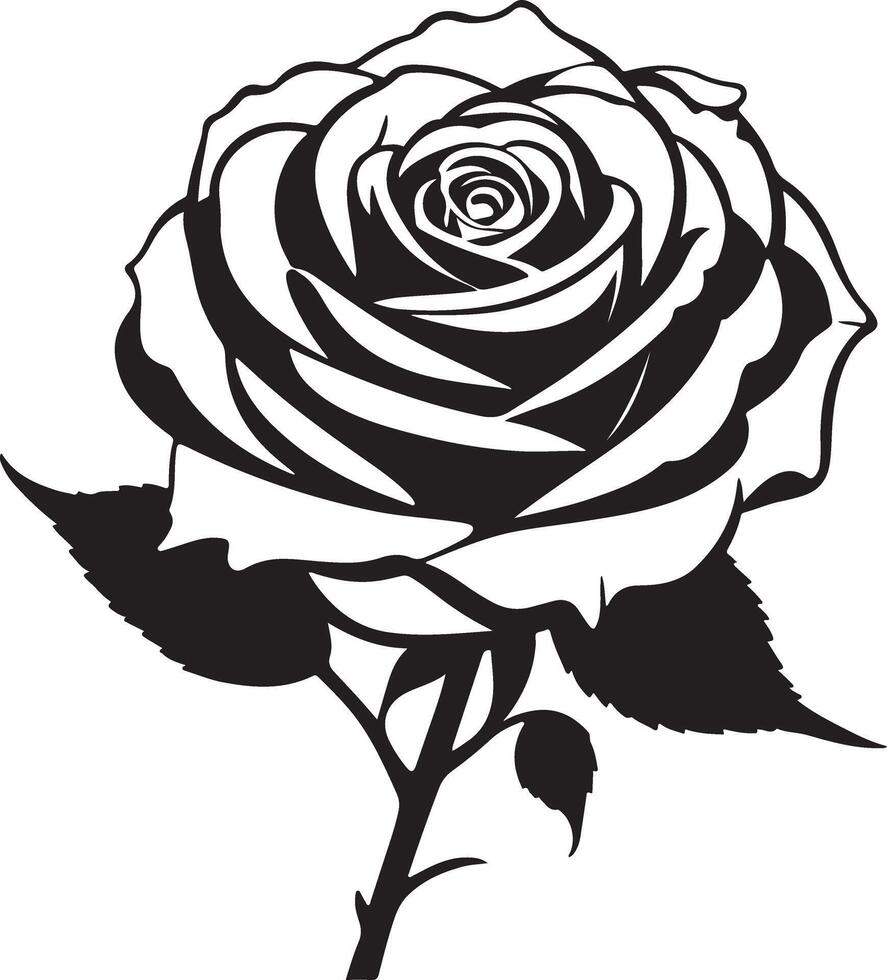 A black and white rose on a white background vector