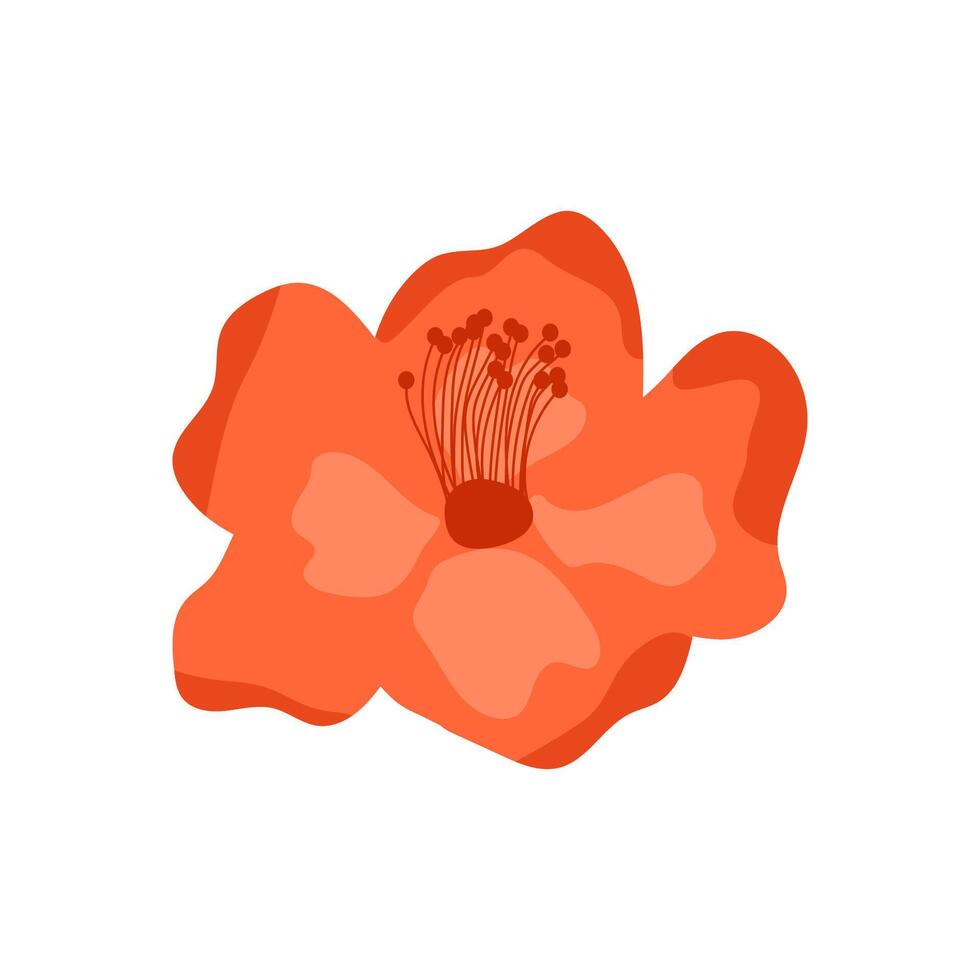 Minimalistic bright illustration of an orange flower with petals and stamens vector