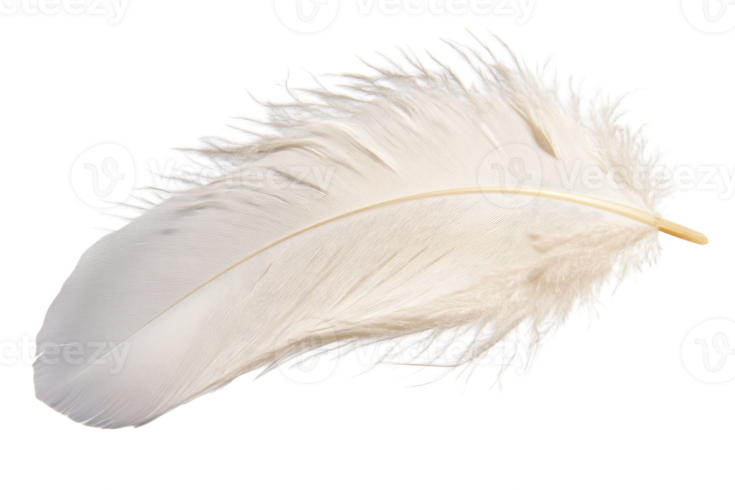 Elegant white feather with soft texture on a transparent background png